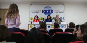 Li Wanê panela aştiyê: Tişta herî girîng windanekirina têkoşînê ye