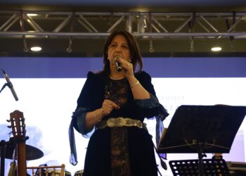 Pervîne Buldan: Ma cinî paştî danê prosesî