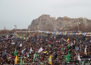 Ji Newroza Wanê çend hurgûlî