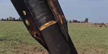 Moşekek Îranê kete Qamişloyê