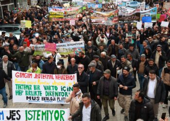 Şarê Gimgimî: Jeotermal nêwazeno