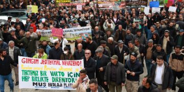 Şarê Gimgimî: Jeotermal nêwazeno