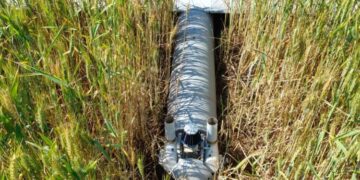 Li Bexdayê balafireke bêmirov hate xistin