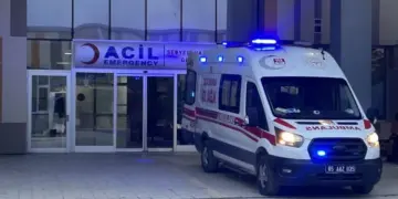 Kutikanê leşkeran hêrişê gedeyan kerd: Gedeyêk cuya xo ra bî