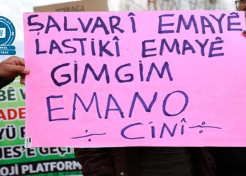 Cinîyê Gimgimî: Heta têkoşînê ma netîce bigêro do çalakîyê ma dewam bikerê