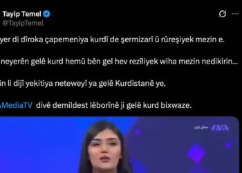 Temel: AVA TV divê demildest lêborînê bixwaze