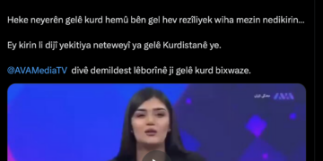 Temel: AVA TV divê demildest lêborînê bixwaze