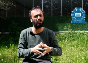 Seba sazgeh, şaredarî û TVyan çend vateyî: Kirmanckî nêyena vînayene