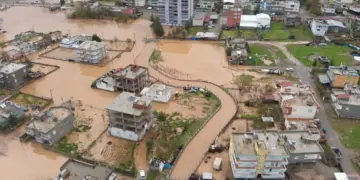 Hevşaredarên Misircê: Bingeha karesatê xemsariya saziyên dewletê ye