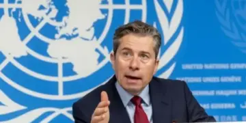 Di 3 salan de hezar û 10 xebatkarên alîkariyê yên NYê hatin kuştin