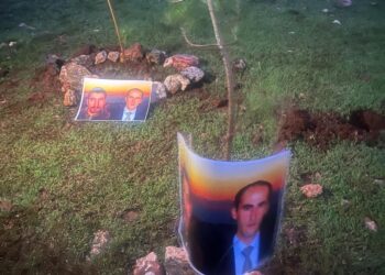 Bi boneya Rojbûna Rêberê Gelê Kurd li Xelfetiyê dar çandin