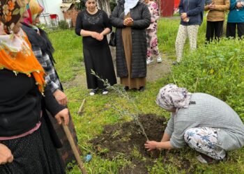 Rojbûna Abdullah Ocalan li Salihliyê hate pîrozkirin