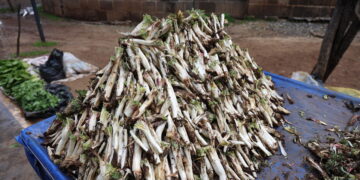 Li Amedê kereng û gulik li ser dezgehan in