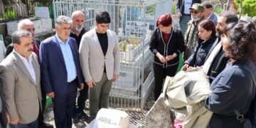 Hozan Şiyar li ser gora xwe hat bibîranîn