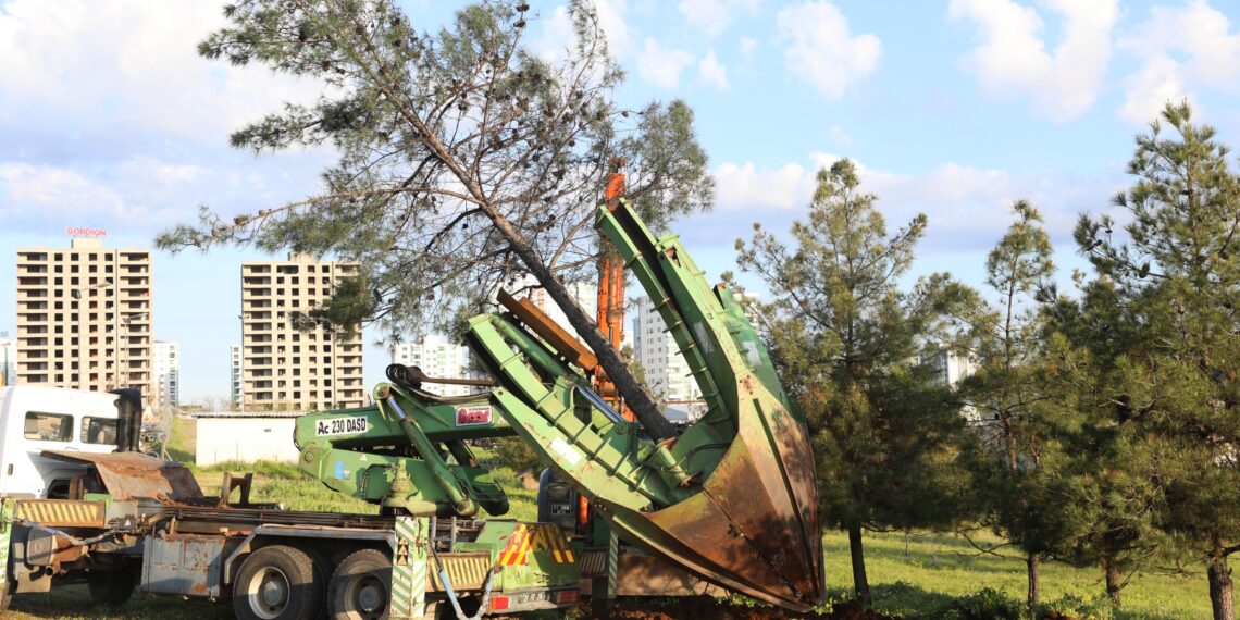 Li Amedê rojeva firehkirina rê û veguheztina daran: Kî çi dibêje?