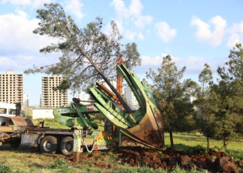 Li Amedê rojeva firehkirina rê û veguheztina daran: Kî çi dibêje?