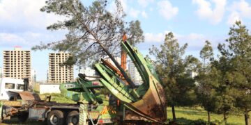 Li Amedê rojeva firehkirina rê û veguheztina daran: Kî çi dibêje?