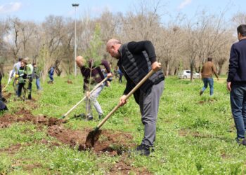 Bi boneya rojbûna Rêberê Gelê Kurd hawîrdor şîn dibe