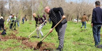 Bi boneya rojbûna Rêberê Gelê Kurd hawîrdor şîn dibe