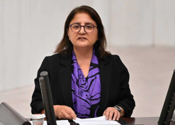 Ayten Kordu ra Meclîs de persê Unîversîteya Munzurî: Kampus çira açarîya edlîye?