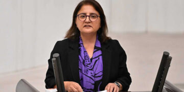 Ayten Kordu ra Meclîs de persê Unîversîteya Munzurî: Kampus çira açarîya edlîye?