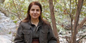 Çîgdem Dogu: Proses tena dewlete rê nêro caverdayene