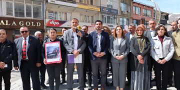 DEM Partiya Colemêrgê: Ev ne pirsgirêka rê ye lê binpêkirina mafê jiyanê ye