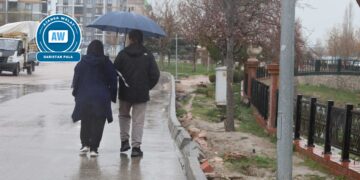 Parka Koşuyolu yê Wanê hat tengkirin: Ji bo asfaltê cîh vedikin