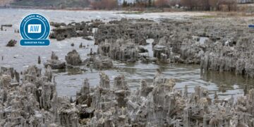 Berfa zêde jî ava Gola Wanê zêde nekir: Xeterî mezin e