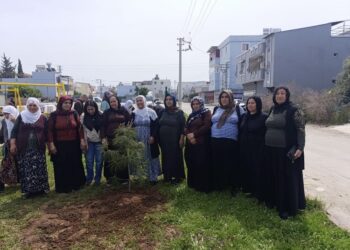 Dayikên Aştiyê li Edeneyê ji bo rojbûna Ocalan dar çandin