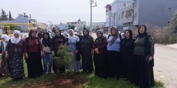 Dayikên Aştiyê li Edeneyê ji bo rojbûna Ocalan dar çandin