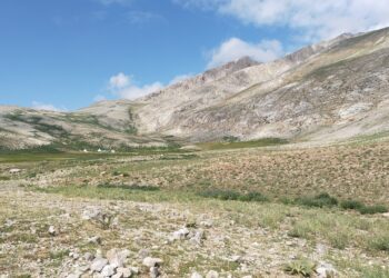 Wazenê Warê Karagoz ê Dêrsimî bikerê qurbanê madenê kromî!