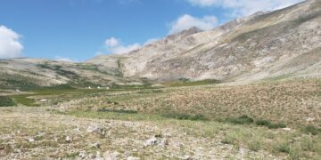 Wazenê Warê Karagoz ê Dêrsimî bikerê qurbanê madenê kromî!