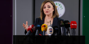 Ayşegul Dogan: Ji bo aştiyê divê gavavêtin bi derengî neyê xistin