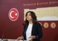 Gulîstan Kiliç Koçyigit: Divê îfadeya Suleyman Soylû jî bê girtin