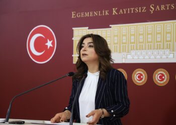 Gulîstan Kiliç Koçyigit: Divê îfadeya Suleyman Soylû jî bê girtin