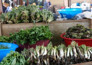 Li Erxeniyê pincarên cûr bi cûr li ser dezgehan cihê xwe girt