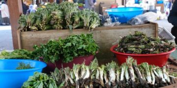 Li Erxeniyê pincarên cûr bi cûr li ser dezgehan cihê xwe girt