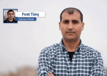 ‘Entegrasyona Sûriyeyê ji ber bandora Tirkiyeyê giran dimeşe’