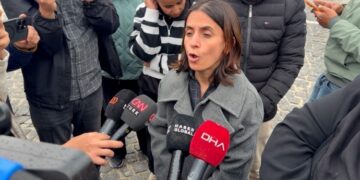 Ji bo binçavkirina Handan Sonelê serlêdan hate kirin