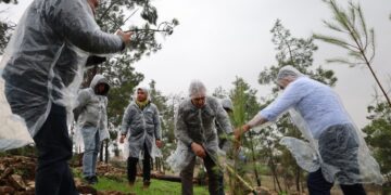 Çarçewaya festîvalî de rayîrşîyayîş û ronayena daran