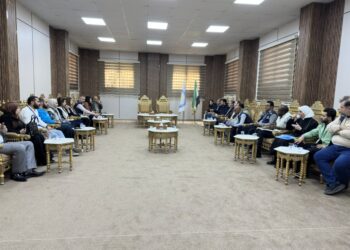 Şandeya Wezareta Tenduristiyê û UNICEFê serdana Kobanê kir