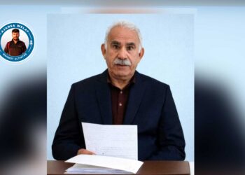 Ji bo mafê hêviyê dema Tirkiyeyê diqede: Divê komîte prosedura binpêkirinê bi cih bîne