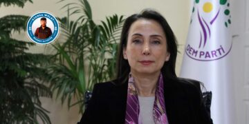 Tulay Hatîmogullari: Pêvajo di qonaxeke krîtîk de ye divê qanûn bên çêkirin