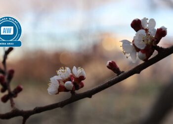 Şiyarbûna xwezayê û çar hêmanên wê: Cemre