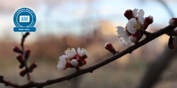 Şiyarbûna xwezayê û çar hêmanên wê: Cemre
