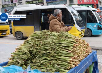 Ribêsan li ser dezgahan cihê xwe girt: Dermanê nexweşiyan e