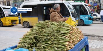 Ribêsan li ser dezgahan cihê xwe girt: Dermanê nexweşiyan e