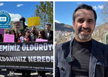 ‘Kûtikanê kuçeyî rê wayîr wejîyenîme’