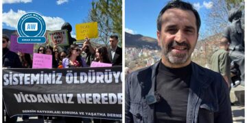 ‘Kûtikanê kuçeyî rê wayîr wejîyenîme’